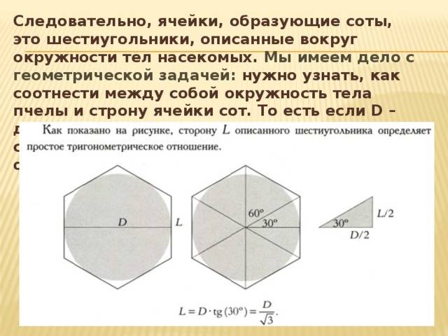 Правильный шестиугольник и его свойства