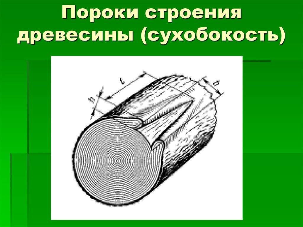 Пороки древесины