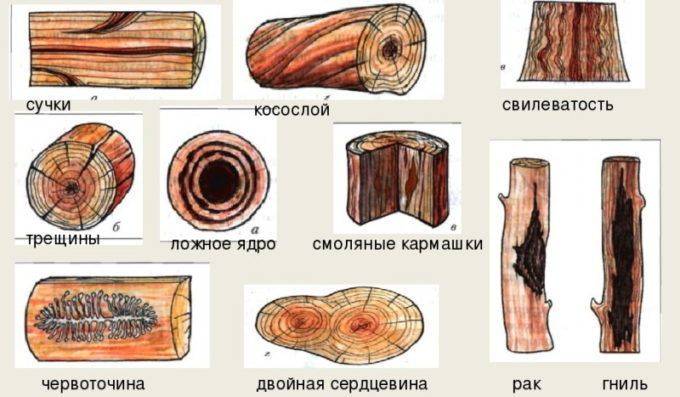 Пороки древесины и их влияние на качество