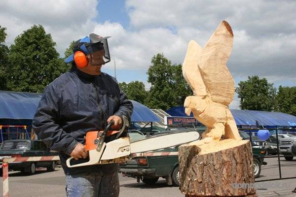 Резьба по дереву бензопилой: мастер класс и инструкция как выбрать материал