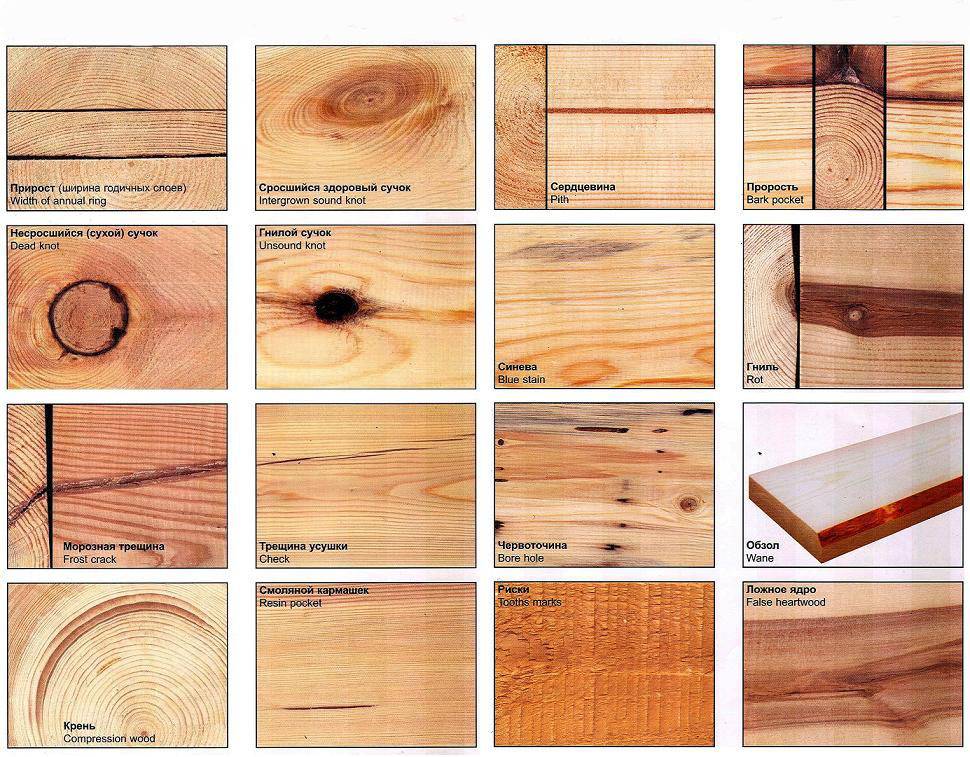 Виды пороков древесины способы заделки