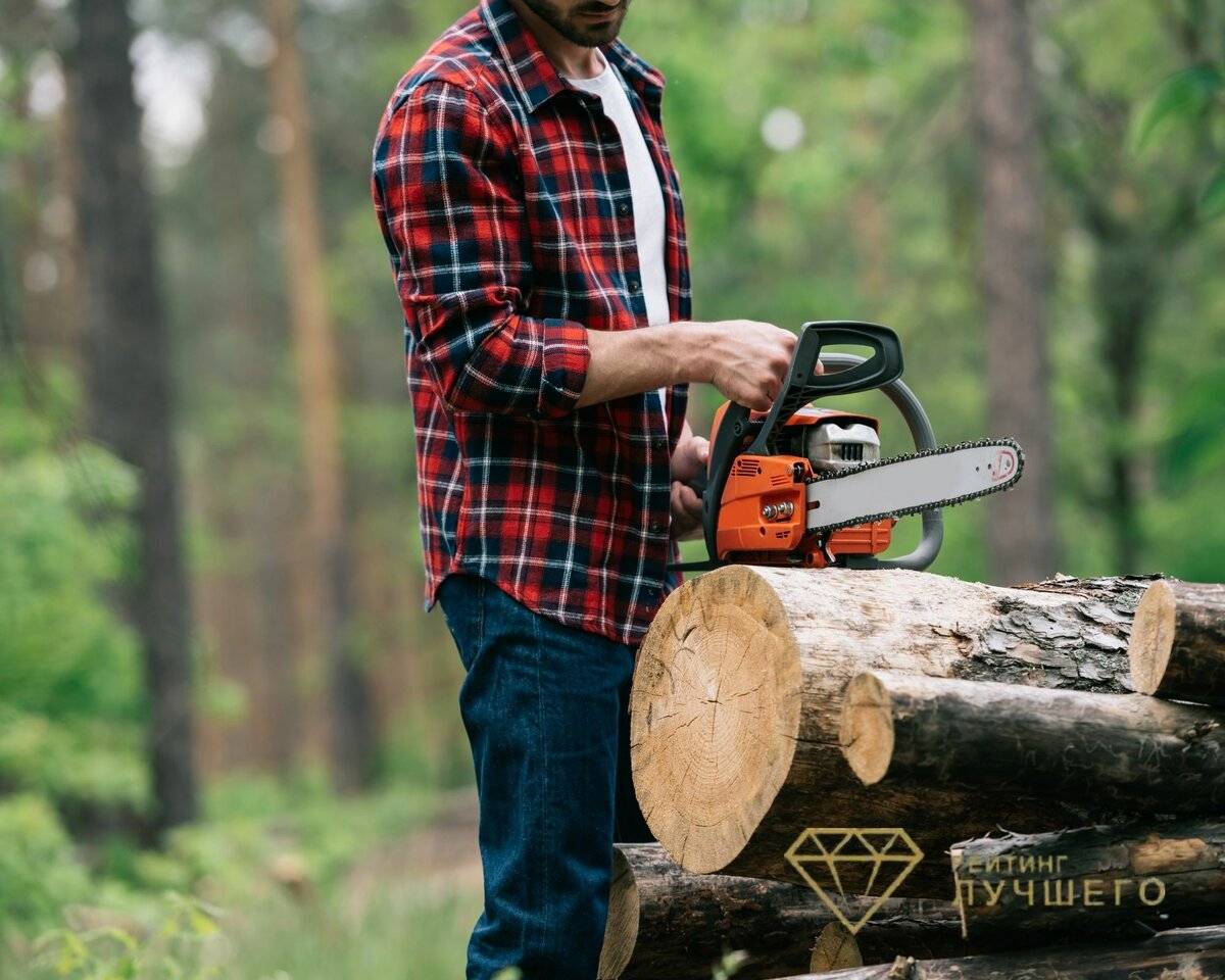 Выбор бензопилы – «зубастого» помощника в распиловке древесины
