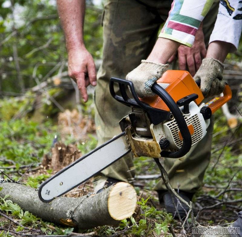 Как пользоваться бензопилой: валка деревьев, распиливание бревен, запуск и обслуживание инструмента