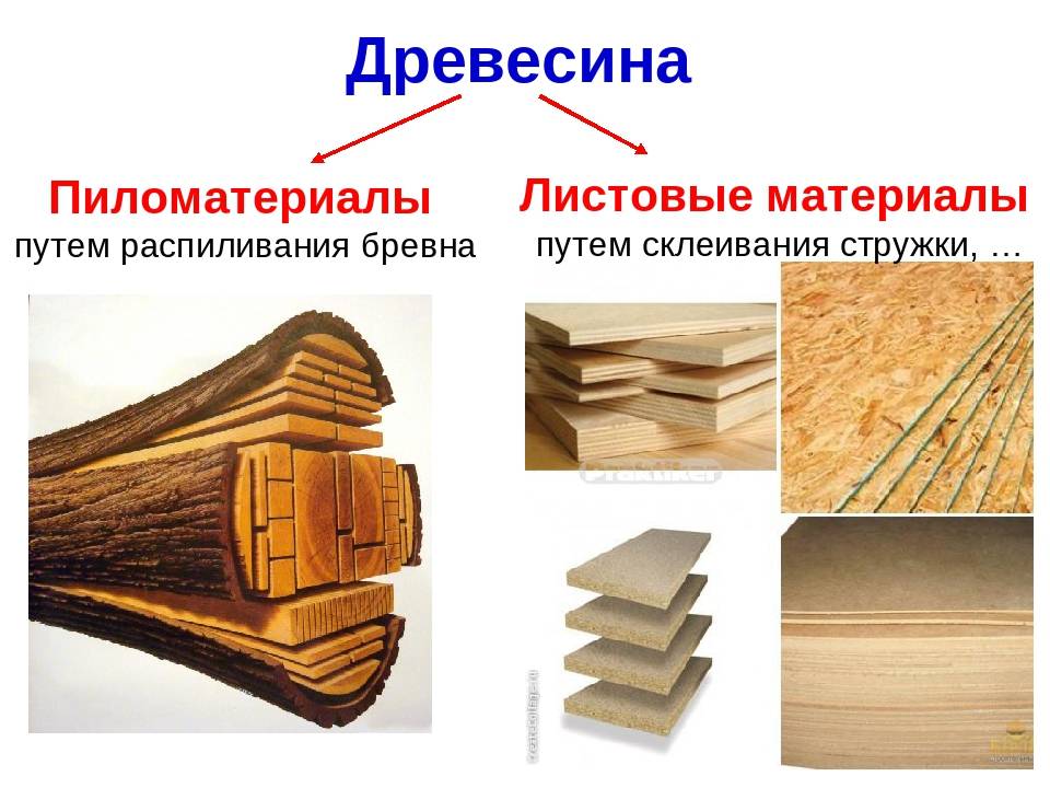 Хвойные породы древесины: какие относятся, описания свойств